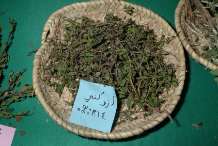 azoukni