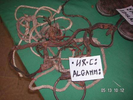 algamou