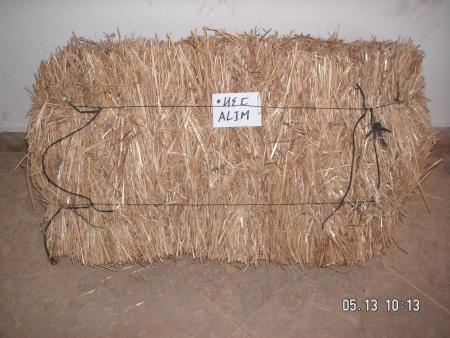alime