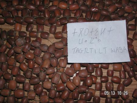 tagrtilt  wa9ain