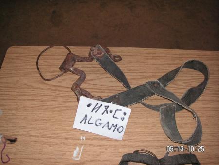 algamou