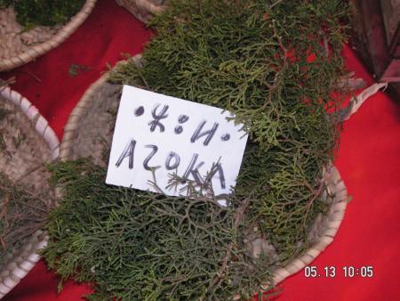 azoka