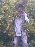 omar bouhanda