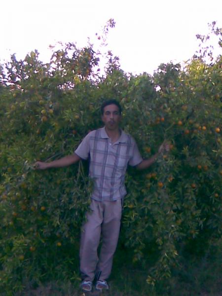 l'orange